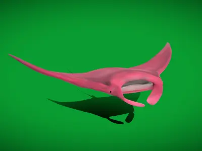 Pink Manta Mobula Ray Low-poly 3D model