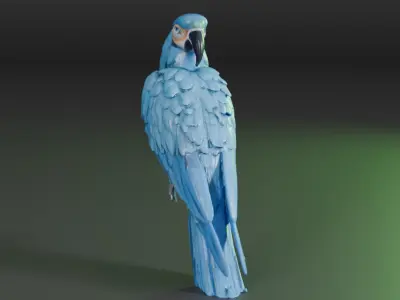 blue macaw 3D model