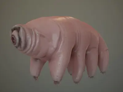 Tardigrade  Midpoly 3D model