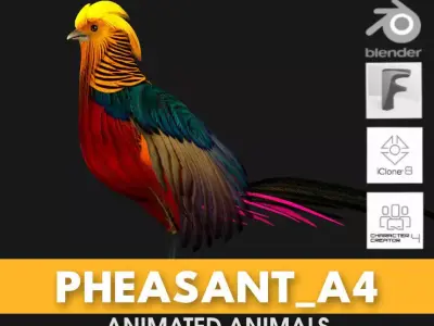 Pheasant A4 3D model