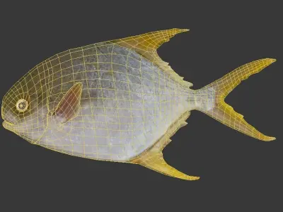 Pampus argenteus  fish Low-poly 3D model