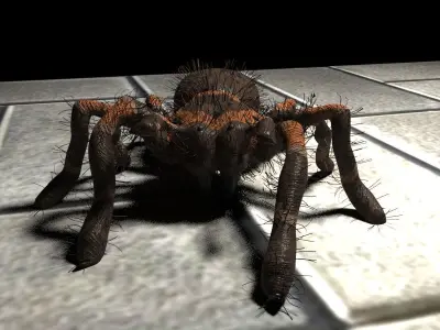  Realistic crawling tarantula 3D model