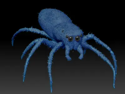 European Zebra jumping spider-Highpolygon 3D model fullsize  3D model