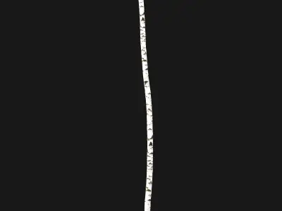 Birch forest part 02 3D model