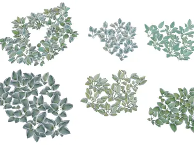 Small plants - low poly - 6 Variations - 281 Models Free low-poly 3D model