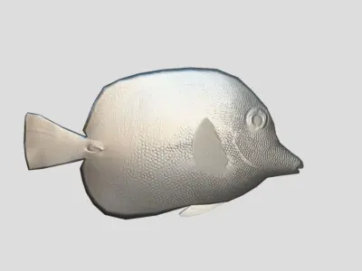 Brown tang Realistic Animated Low-poly 3D model