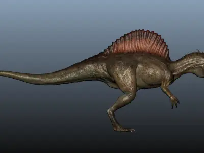 Spinosaurus dinosaur 3D model