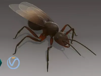Flying Ant Rigged 3D model