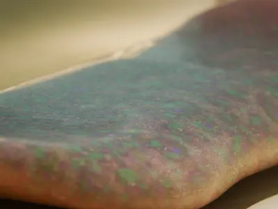  Odontogriphus Low-poly 3D model