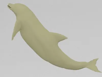 dolphin Free 3D print model