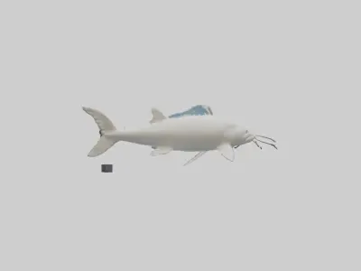 Beluga Sturgeon swimming model Low-poly 3D model