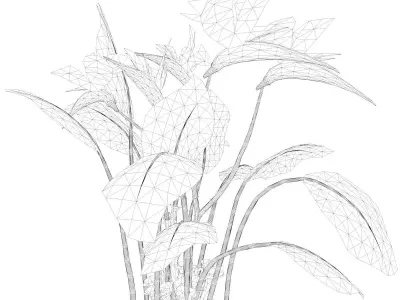 Bird of Paradise Flower - 04 - 3D model