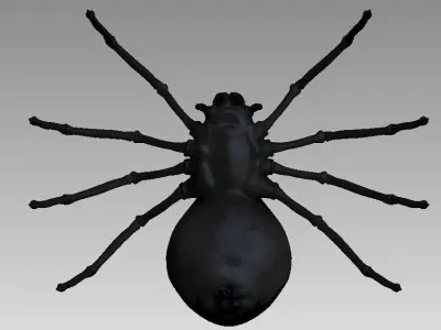 Black spider Low-poly 3D model