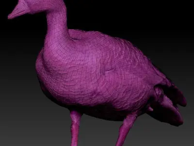 Goose 19 Low-poly 3D model