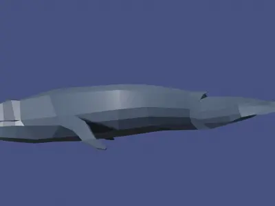 Whale Free low-poly 3D model