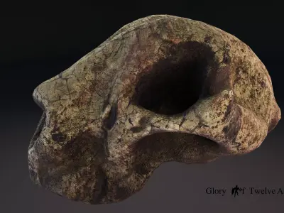 3D Cheetah Skull Model Free low-poly 3D model