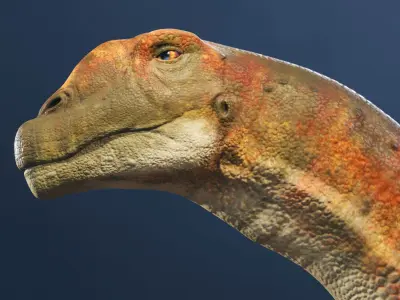 Argentinosaurus low-poly RIG Low-poly 3D model