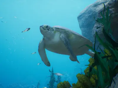 Sea Animal Mega Pack Low-poly 3D model