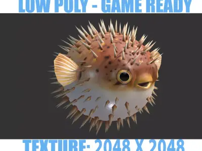  Puffer fish01 Low-poly 3D model