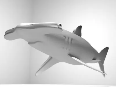 Shark - Hammerhead 3D model