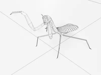 Mantis 3d model praying Low-poly 3D model