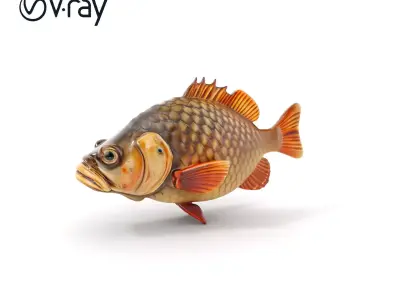 Realistic Fish Model Pack Low-poly 3D model