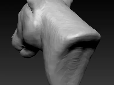 Tiger head Free 3D print model