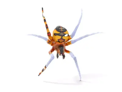 Vibrant Spider model pack Low-poly 3D model