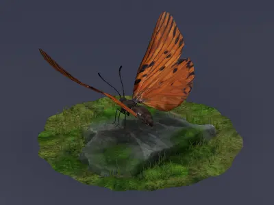 Danaus Plexippus Butterfly Milkweed Monarch  3D model