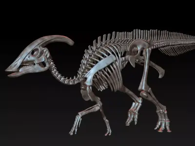 Parasaurolophus skeleton Low-poly 3D model