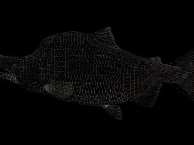 Pink Salmon 3D model