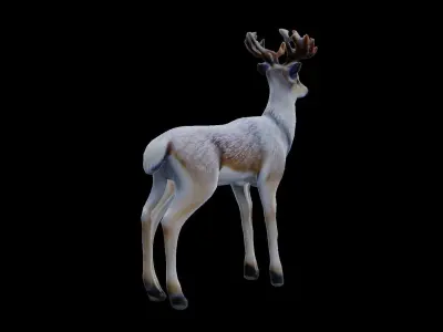 Deer with white fur low poly Low-poly 3D model