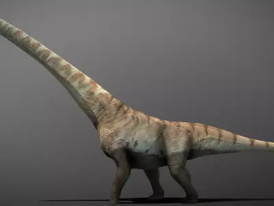 Mamenchisaurus  Low-poly 3D model
