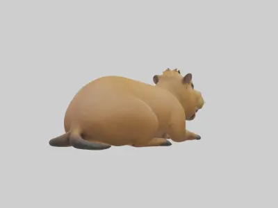 Capybara Model 1 Low-poly 3D model