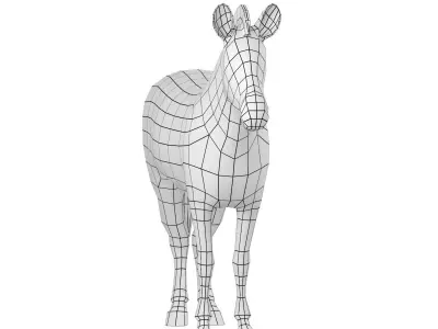 Zebra Animal Base Mesh 3D model