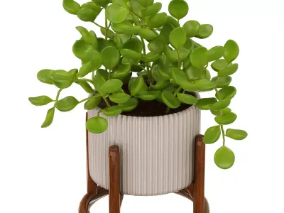 Decorative Set 011 3D model