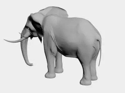 Elephant-wild animals 3D model