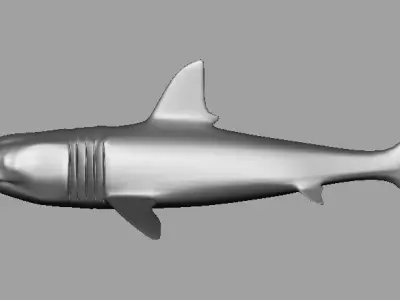 Shark AAA Low-poly 3D model