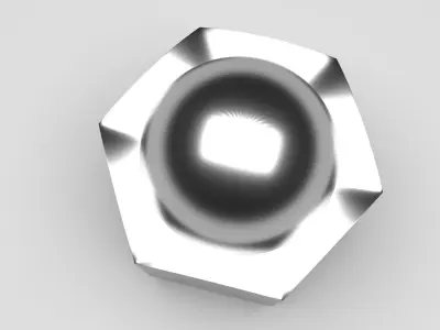 Hex Cap Nut 3D model