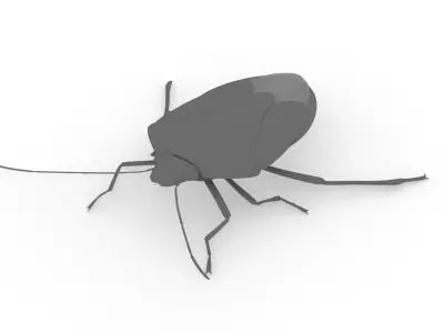 Brown Marmorated Stink Bug Free 3D model