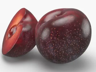 Plum 01 3D model