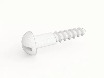 Screw 101 3D model