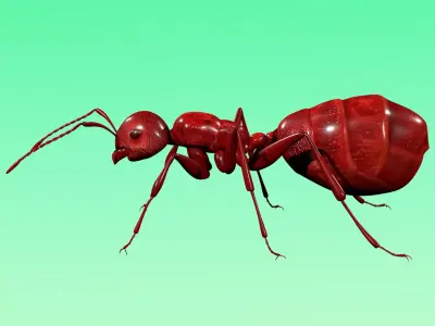 Red Ant Rig Low-poly 3D model