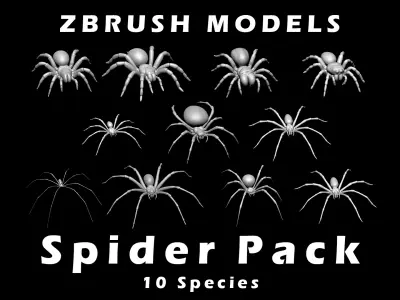 Spider Pack 3D model