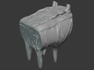 Cow udder 3D model
