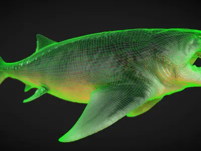 Dunkleosteus paleo accurate Low-poly 3D model