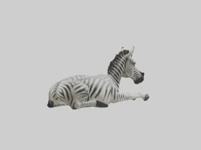 Lying Zebra Model 1 Low-poly 3D model