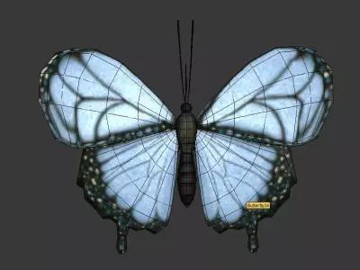 Butterfly 3D model 3D model
