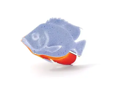 Vibrant Aquatic Fish model pack Low-poly 3D model