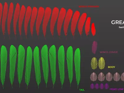 Feathers Set of Great Tit 3D model